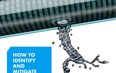 How to Identify and Mitigate Data Leaks?