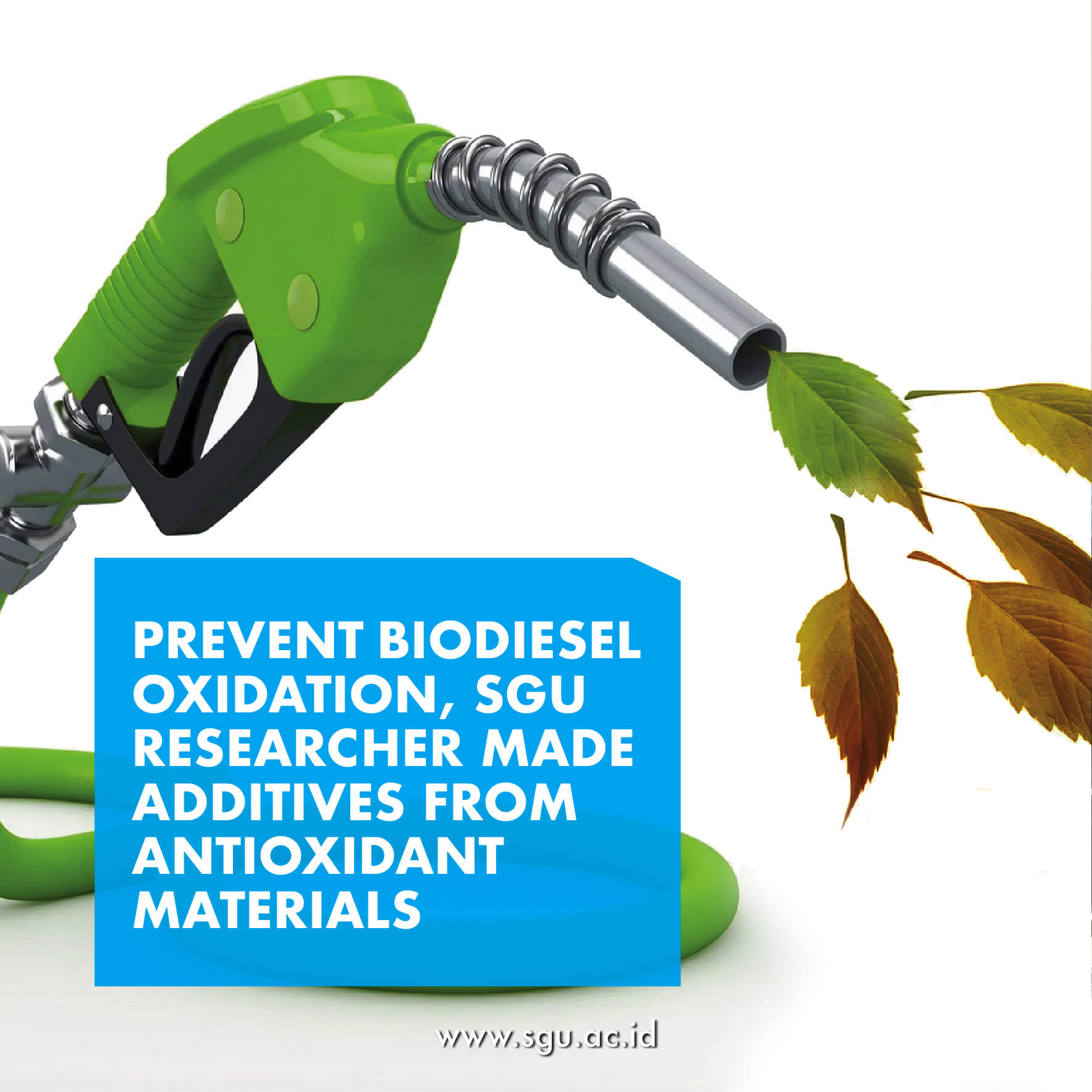 Prevent Biodiesel Oxidation, SGU Researcher Made Additives from Antioxidant Materials