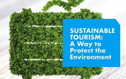 Sustainable Tourism: A Way to Protect the Environment