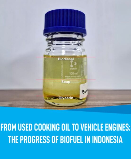 From Used Cooking Oil to Vehicle Engines: The Progress of Biofuel in Indonesia